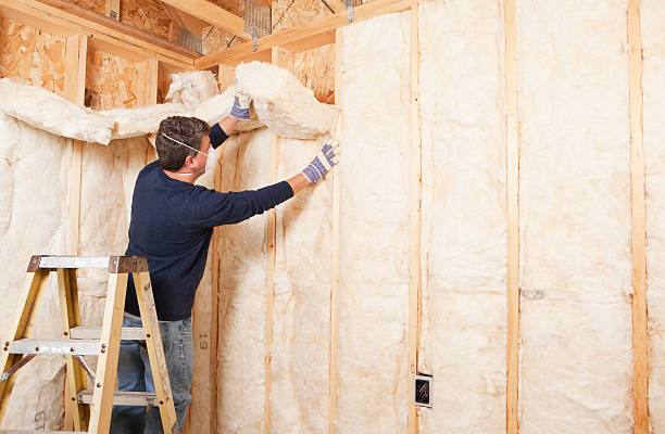 Professional Insulation Services in Buchanan, MI